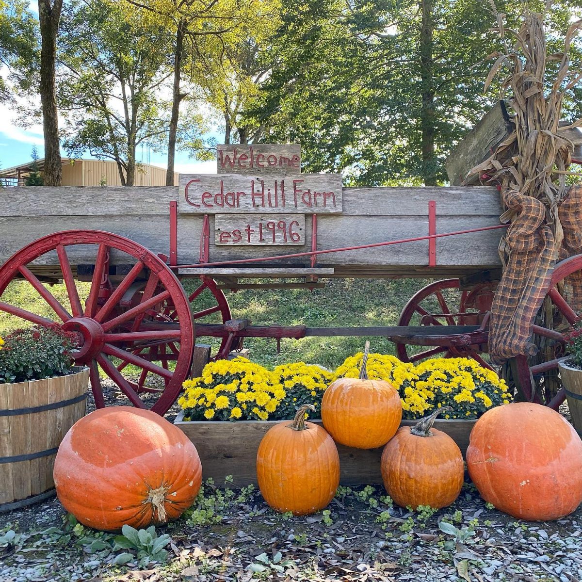 Top 5 Fall Attractions for the Mid-south