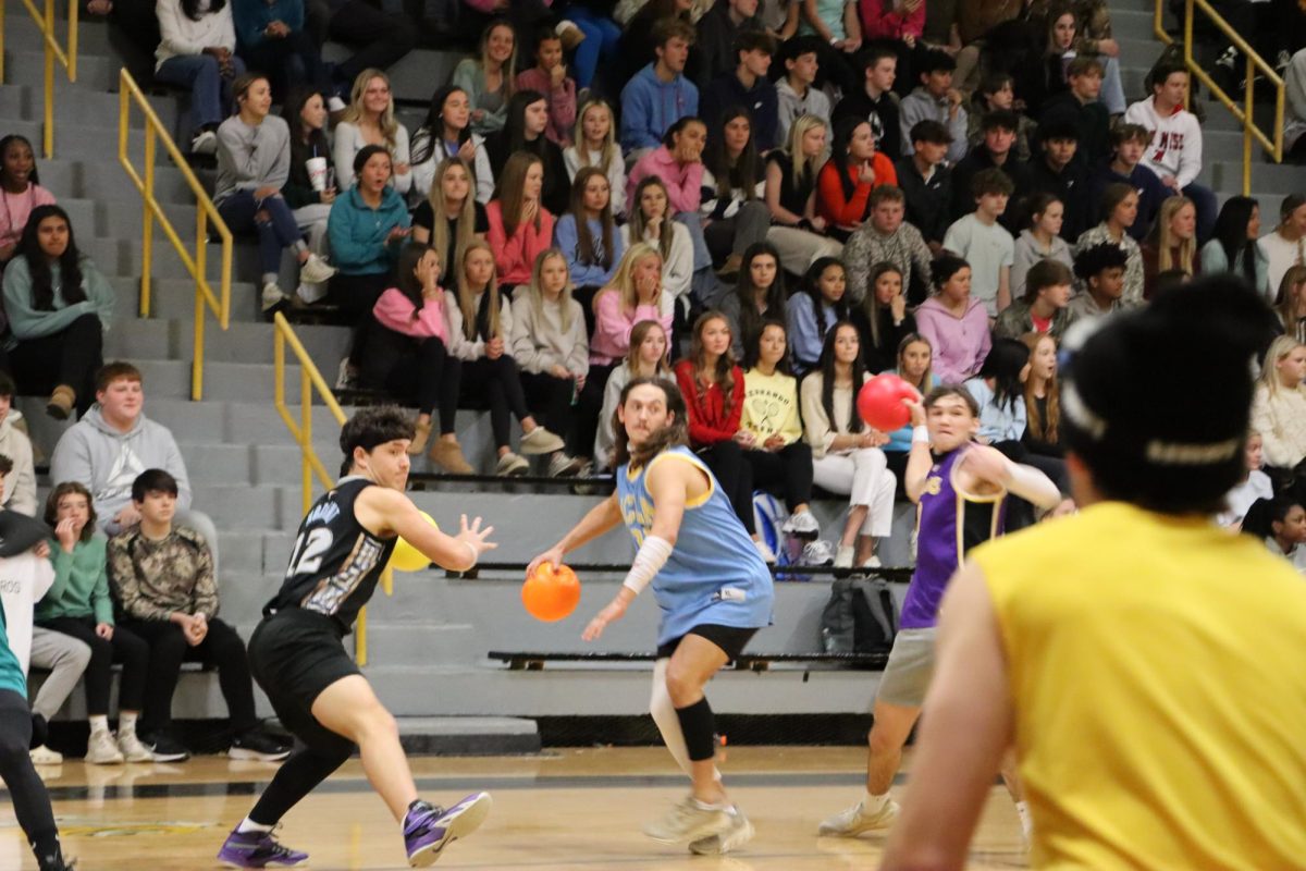 Tigers on the Court: Dodge, Duck, Dip, Dive, and Dodge again.