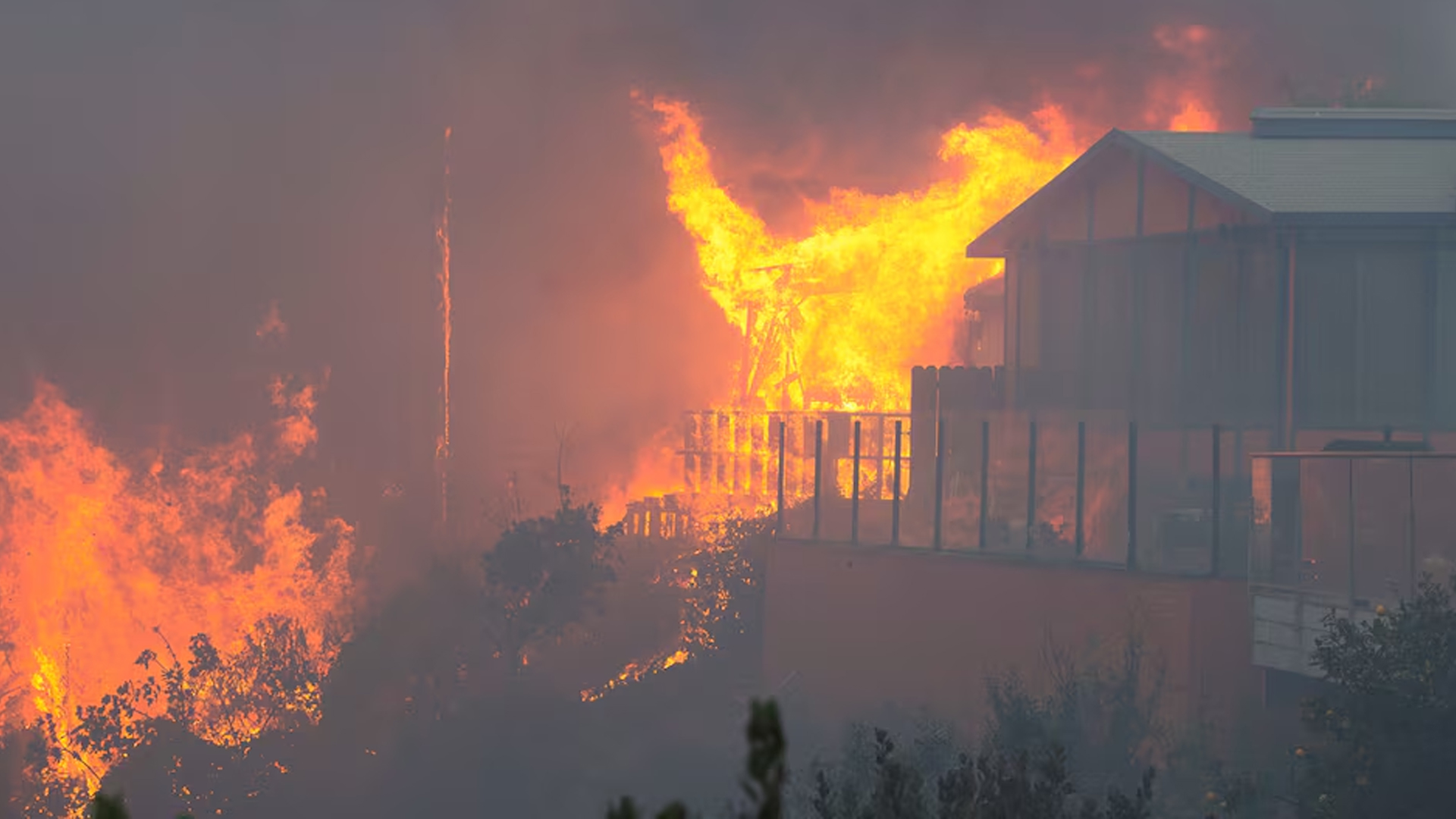 Walk of Flames: Los Angeles on Fire